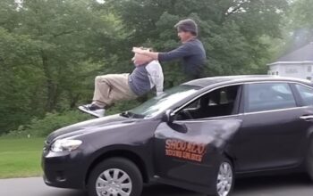Flight Driving a Shoe: The Viral Meme Phenomenon Taking Over the Internet